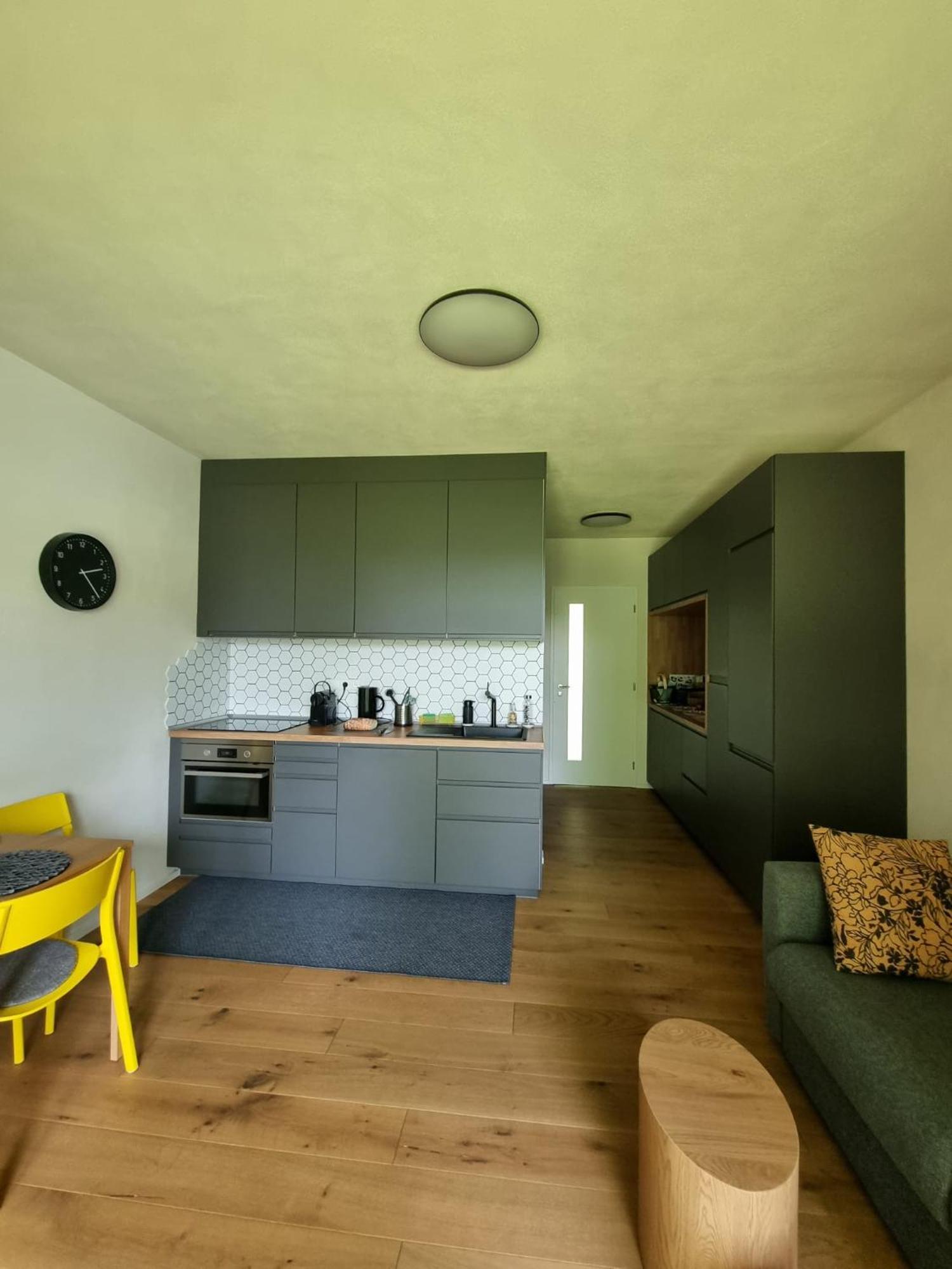 Apartman Berg Brcalnik Železná Ruda Exteriör bild
