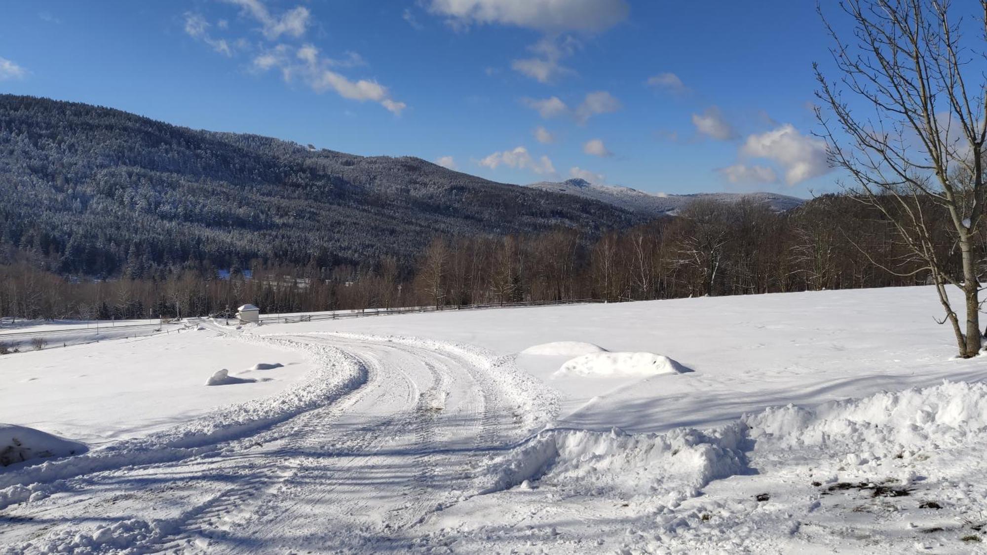 Apartman Berg Brcalnik Železná Ruda Exteriör bild