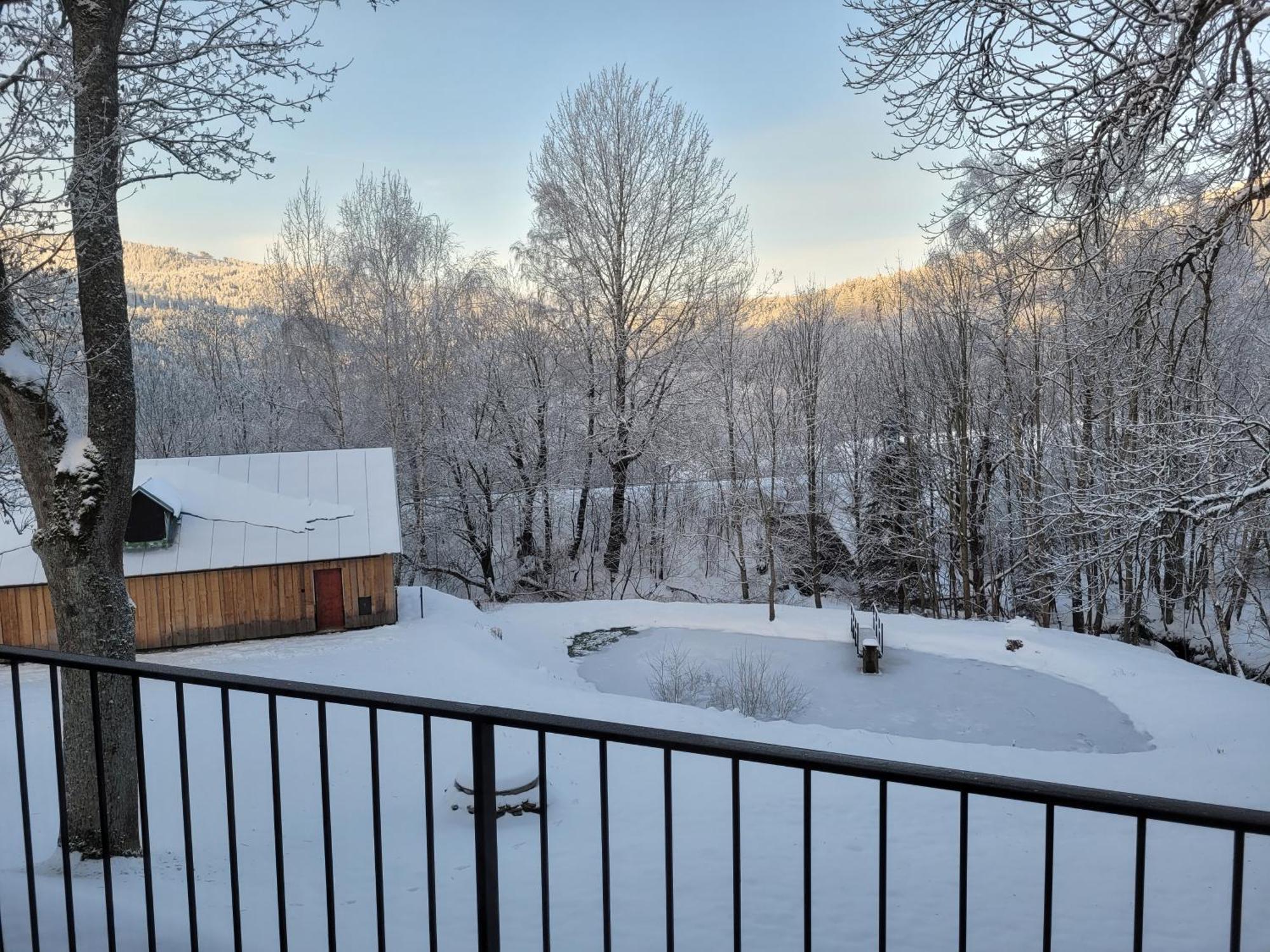 Apartman Berg Brcalnik Železná Ruda Exteriör bild